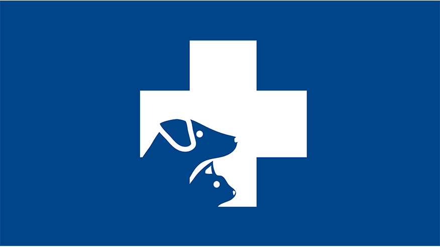 876x493 leon springs InternalMedicine