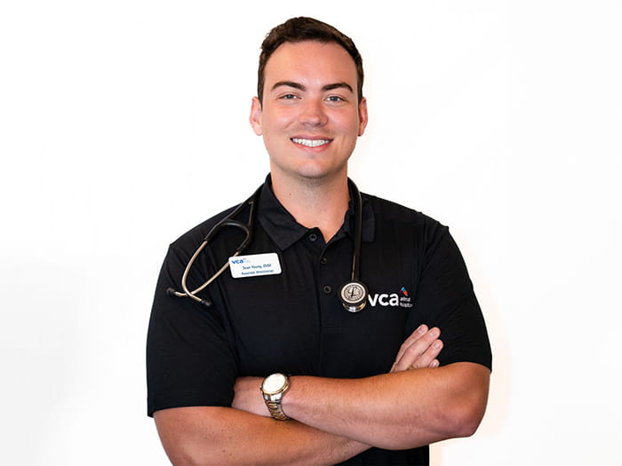Dr. Sean Young Staff Photo