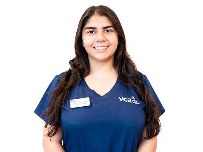 Sophia Staff Photo