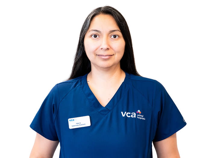 Valeria Staff Photo