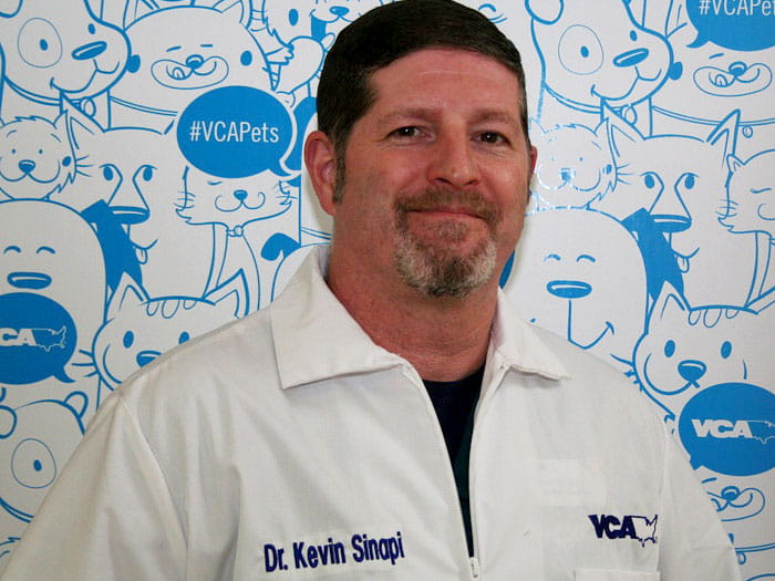 Kevin Sinapi Staff Photo