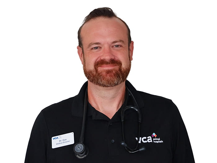 Dr. Curtis Cox Staff Photo