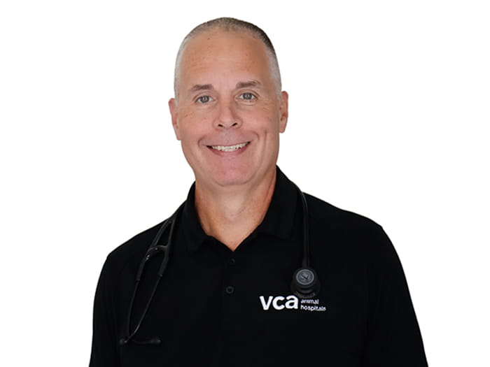 Dr. Scott Johnson Staff Photo