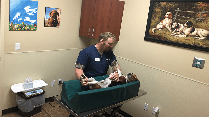 Ultrasound at Oak Hills