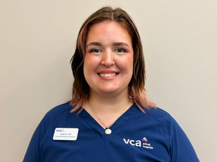Cate Staff Photo
