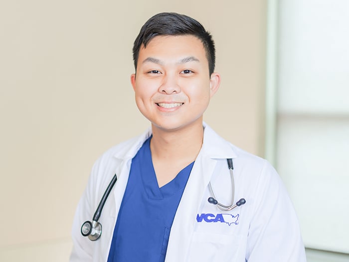 Dr. Chris Chen Staff Photo