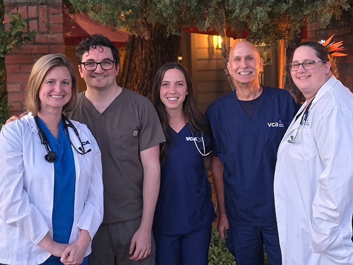 Group photo of VCA Park Cities veterinarians
