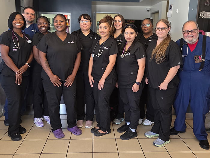 Group photo of VCA Park Cities veterinarian support team