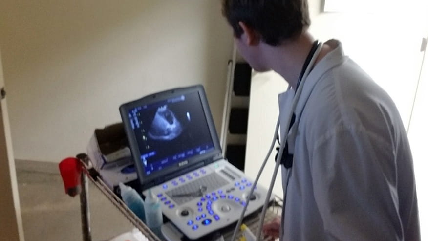 Ultrasound