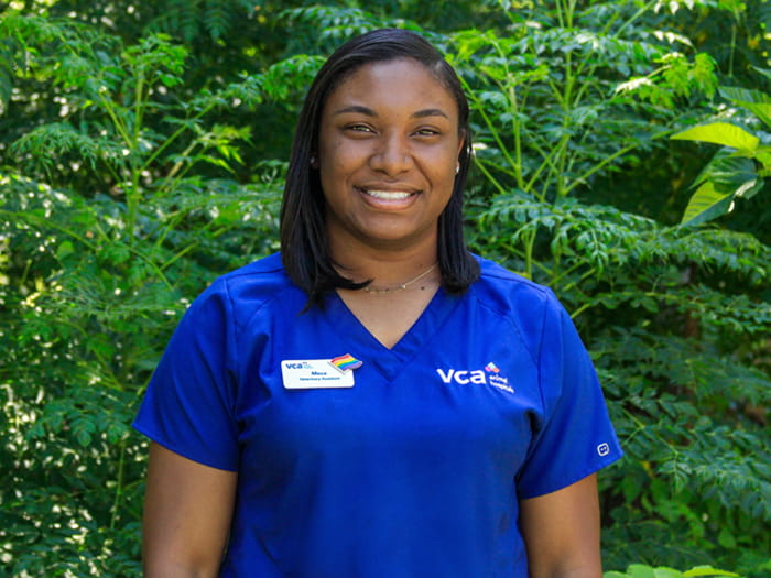 Charmece Staff Photo