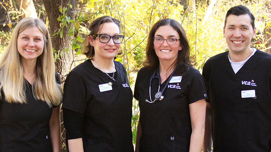 VCA Preston Park Animal Hospital Leadership Team