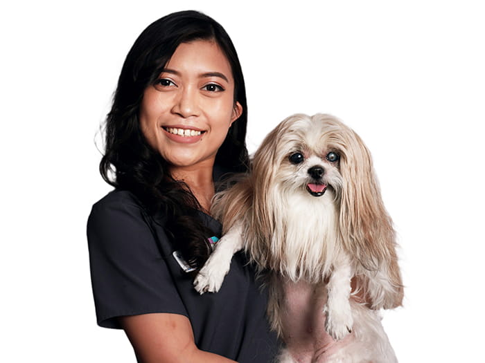 Liane J. Staff Photo