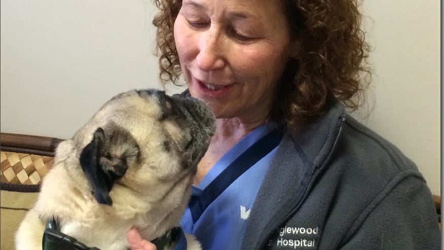 VCA Tanglewood Animal Hospital Preventive Care