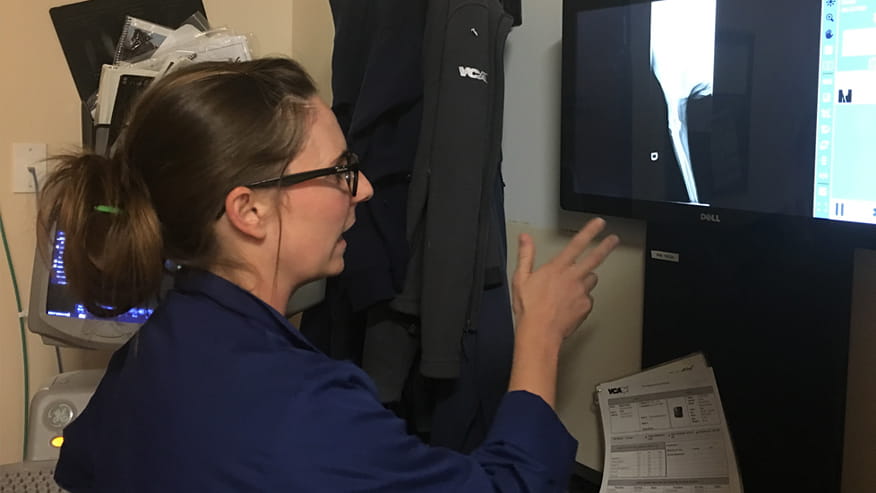 VCA Tanglewood Animal Hospital Radiology