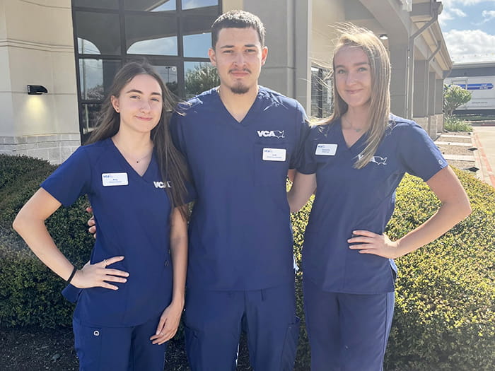 VCA Tomball Pet Care Specialists Department Team Photo