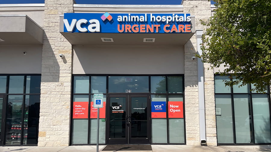 Photo Gallery VCA Hospitals Urgent Care Cedar Park, TX