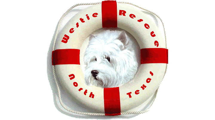 Westie Rescue of North Texas Community Partner