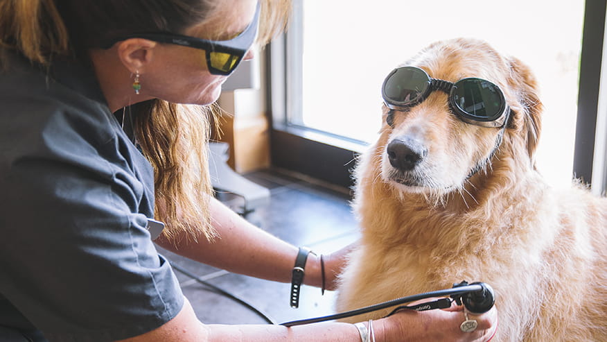 Laser Therapy