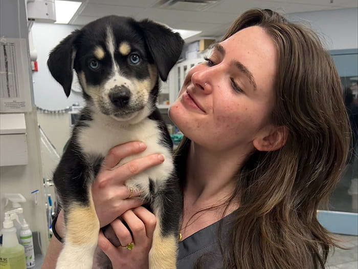 Scarlett Staff Photo