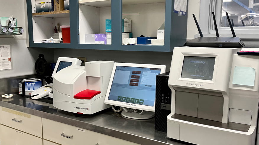 Veterinary diagnostic machines