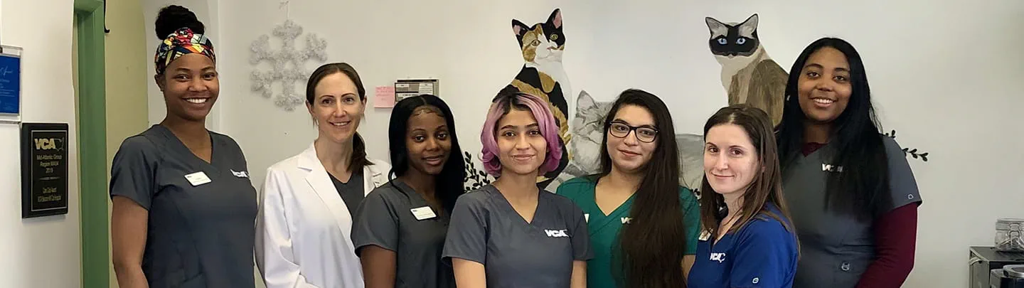 /-/media/2/vca/images/hospitals/united-states/virginia/beacon-hill/staff/1440x405_beacon-hill_ourteam2021.jpg?rev=0a460c3870eb48f3be0a5c869f425907