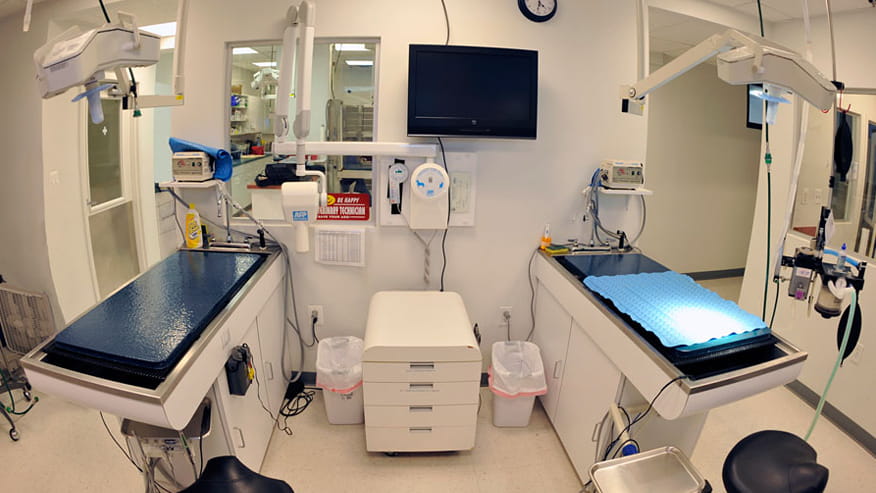 VCA Centreville Animal Hospital Treatment