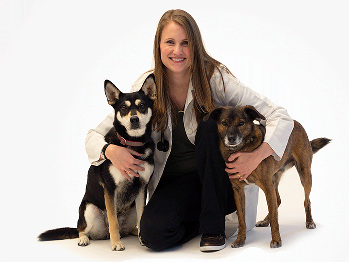 Alison Hart | VCA Centreville Animal Hospital