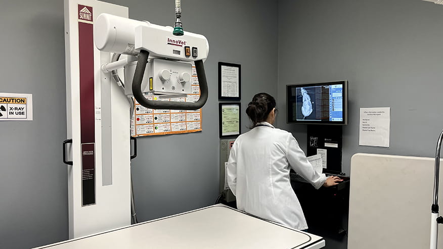 Digital x-ray at VCA Chancellor Animal Hospital