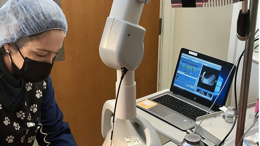 Commonwealth Dental X-Rays