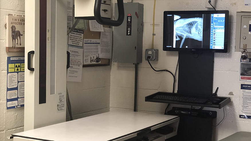 Commonwealth Radiology