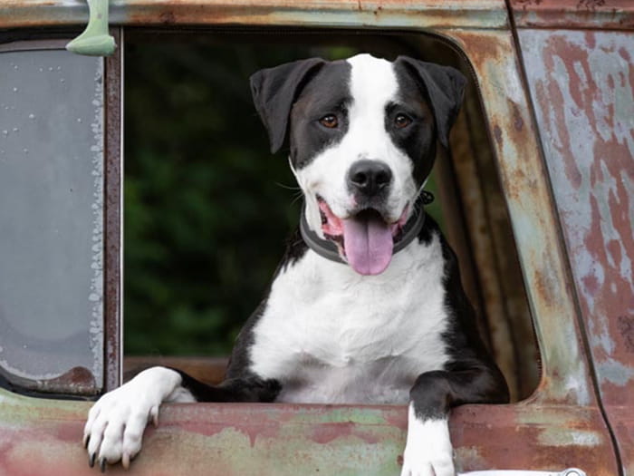 Paige York Staff Photo