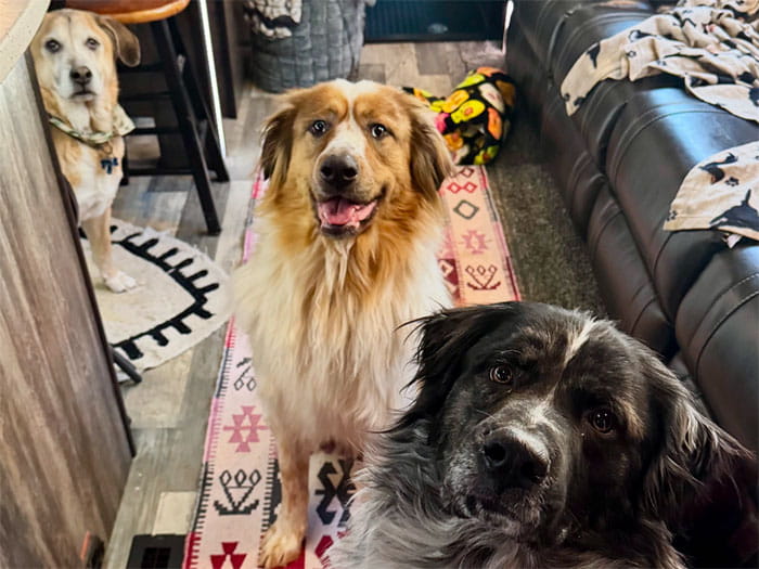 Valentina Staff Photo