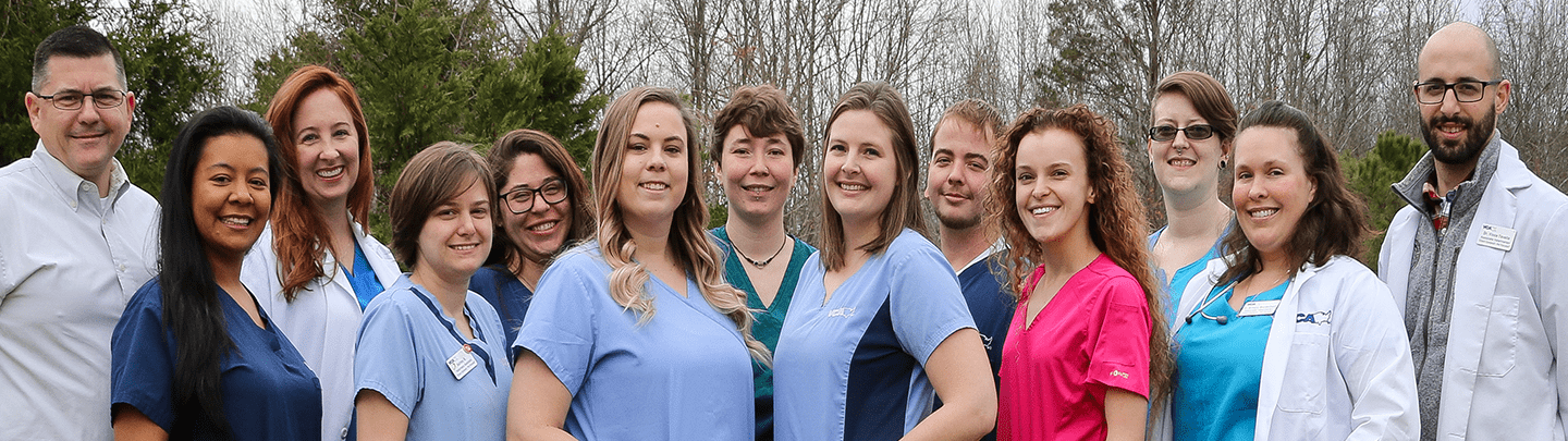 /-/media/2/vca/images/hospitals/united-states/virginia/new-kent/staff/1440x405_new-kent_team2020.png?rev=e01c15a58f6b4398a8ae816a7d8e53c0