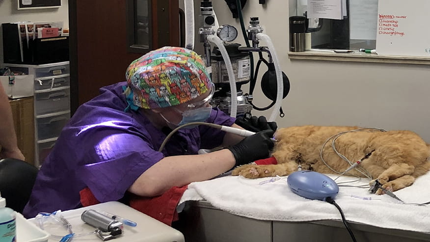 Old Town Dental Care