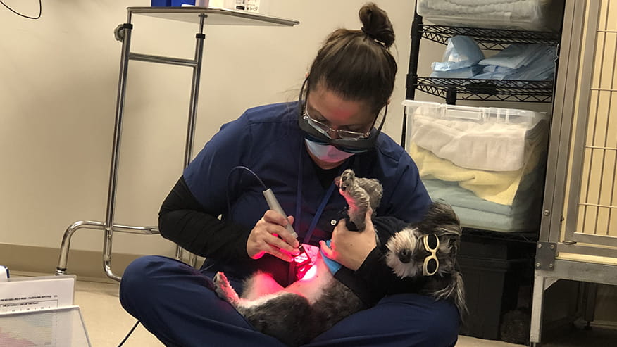 Cold Laser Therapy