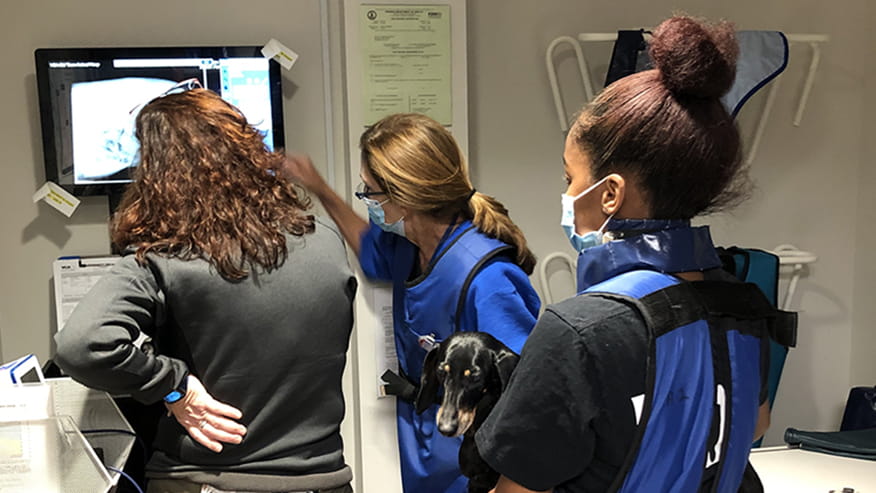 Old Town Digital Radiology