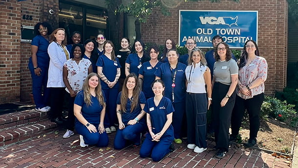 VCA Old Town Animal Hospital Team Photo