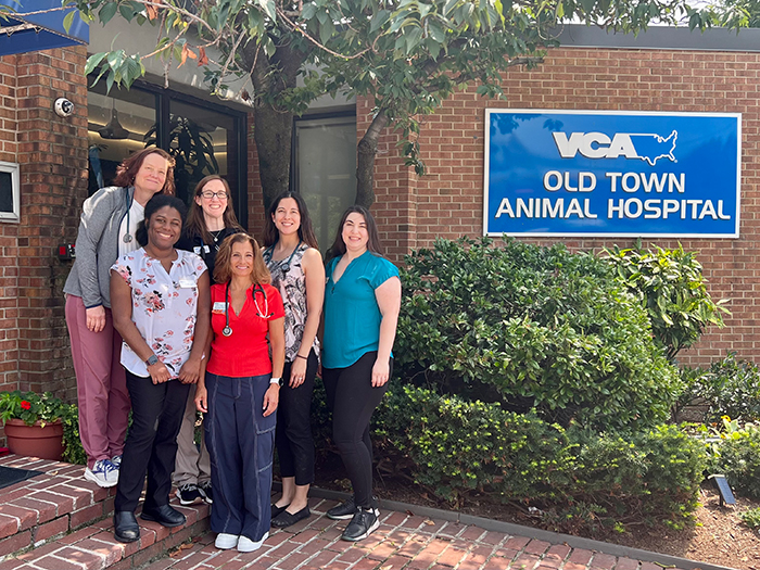 VCA Old Town Animal Hospital Veterinarian Team Photo