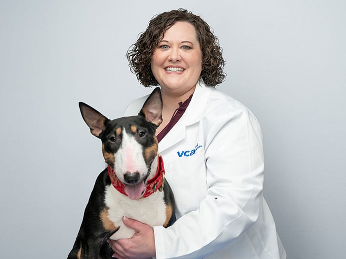 VCA SouthPaws Veterinary Specialists & Emergency Center | Staff Page