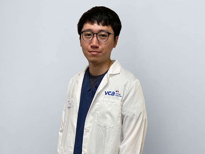 Dr. Cliff Lee Staff Photo