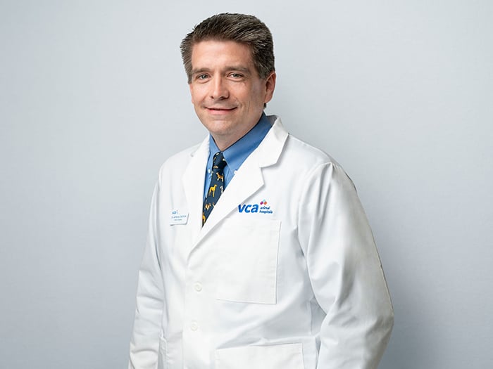 Dr. Jeffrey Norton Staff Photo