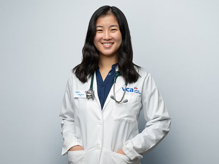 Dr. Lydia Liu Staff Photo