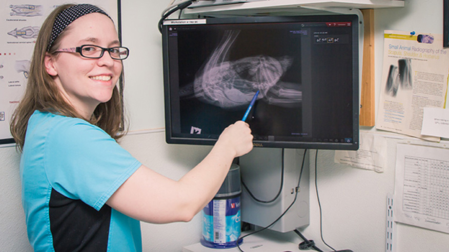 VCA Todds Lane Animal Hospital Digital Radiology