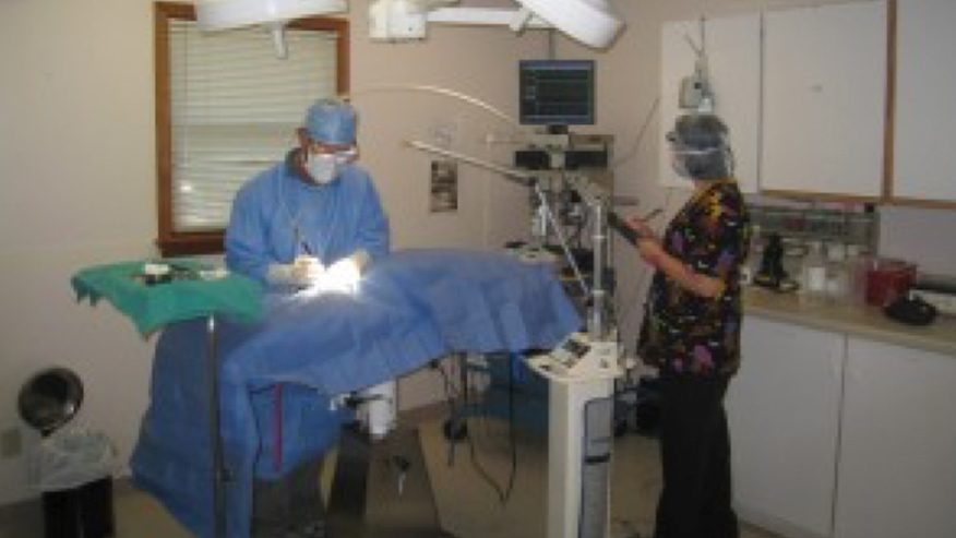 VCA Todds Lane Animal Hospital Laser Surgery
