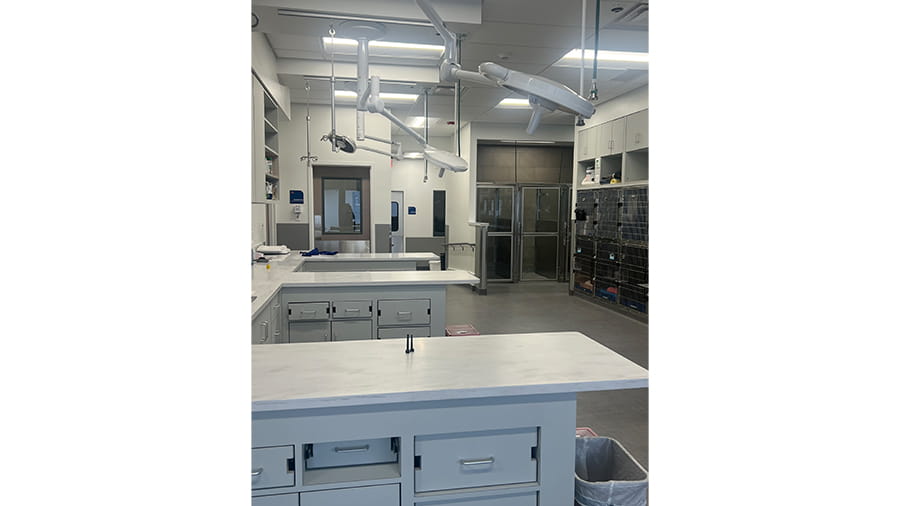 VCA Town Center Treatment Area