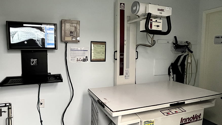 Digital Radiology at VCA University Veterinary Clinic