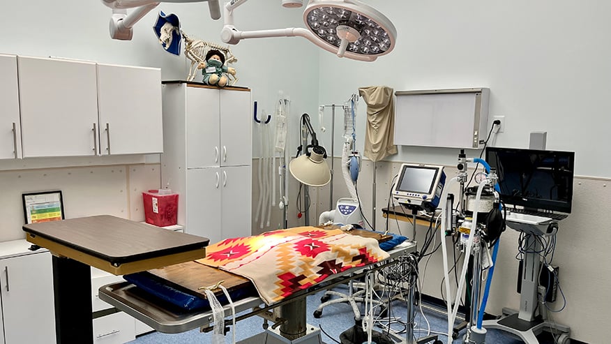 Surgery Suite at VCA University Veterinary Clinic