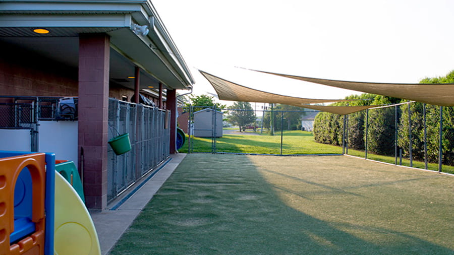 Large dog play yard at VCA White Oak Animal Hospital