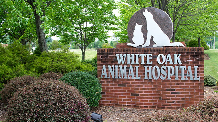 VCA White Oak Animal Hospital sign