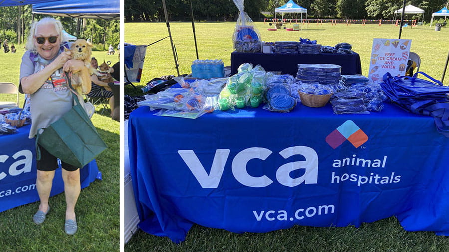 Collage of VCA Pacific Avenue Animal Hospital Booth and Woman with Small Dog